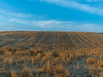 離岸賬戶：企業(yè)發(fā)展的關鍵優(yōu)勢與策略