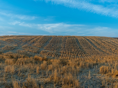 香港人來深圳前海自貿(mào)區(qū)注冊公司是不是需要人到場簽字？